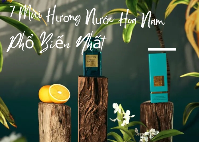 Gợi Ý 7 Mùi Hương Nước Hoa Nam Phổ Biến Nhất