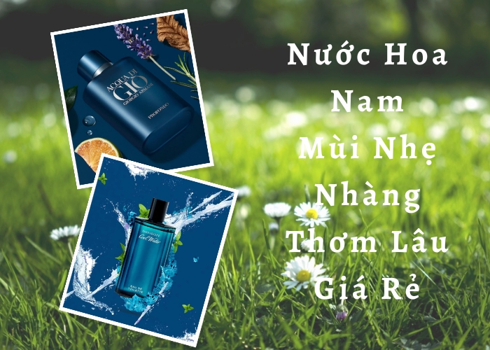 Top 11 Chai Nước Hoa Nam Mùi Nhẹ Nhàng Thơm Lâu Giá Rẻ