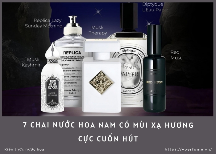 7 Chai Nước Hoa Nam Có Mùi Xạ Hương Cực Cuốn Hút