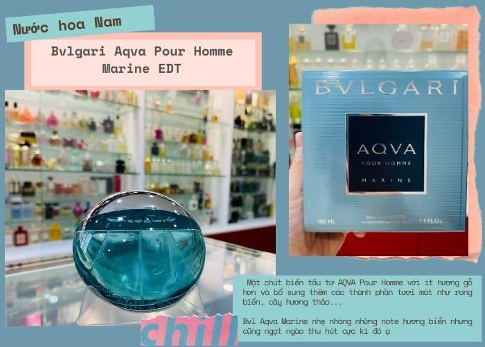 Mùi hương nước hoa Bvlgari Aqva Pour Homme Marine