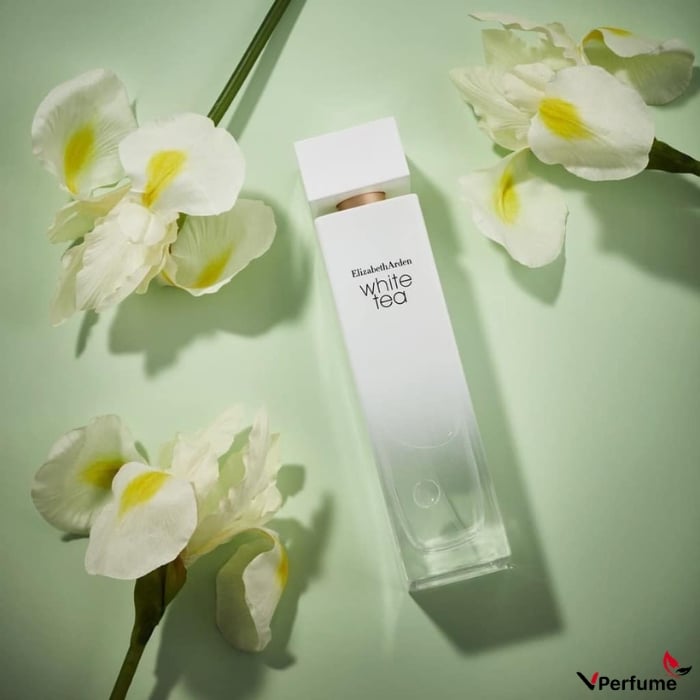 Thiết kế chai nước hoa Elizabeth Arden White Tea EDT