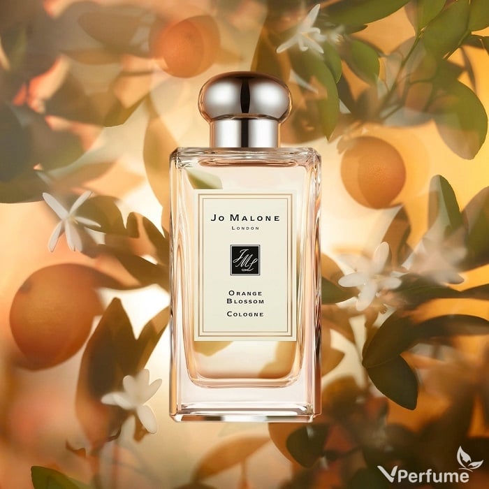 nước hoa Jo Malone Orange Blossom