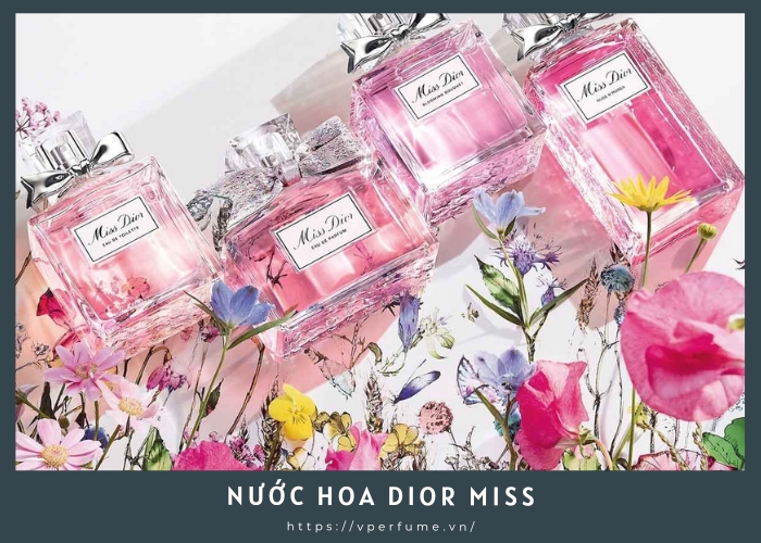 Review Nước Hoa Miss Dior: Mùi Nào Thơm Nhất?