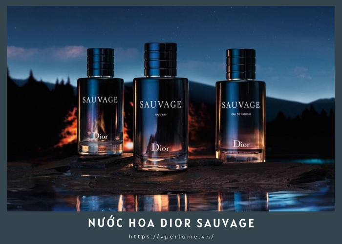 Top 5 Lý Do Bạn Nên Sở Hữu Nước Hoa Dior Sauvage