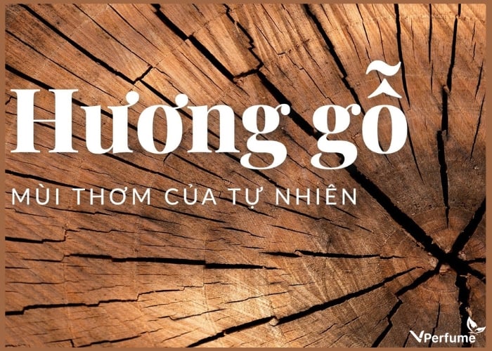 Hương gỗ trong nước hoa