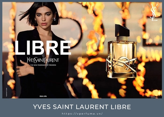 Review Nước Hoa Yves Saint Laurent Libre: Mùi Hương Nào Cho Bạn?