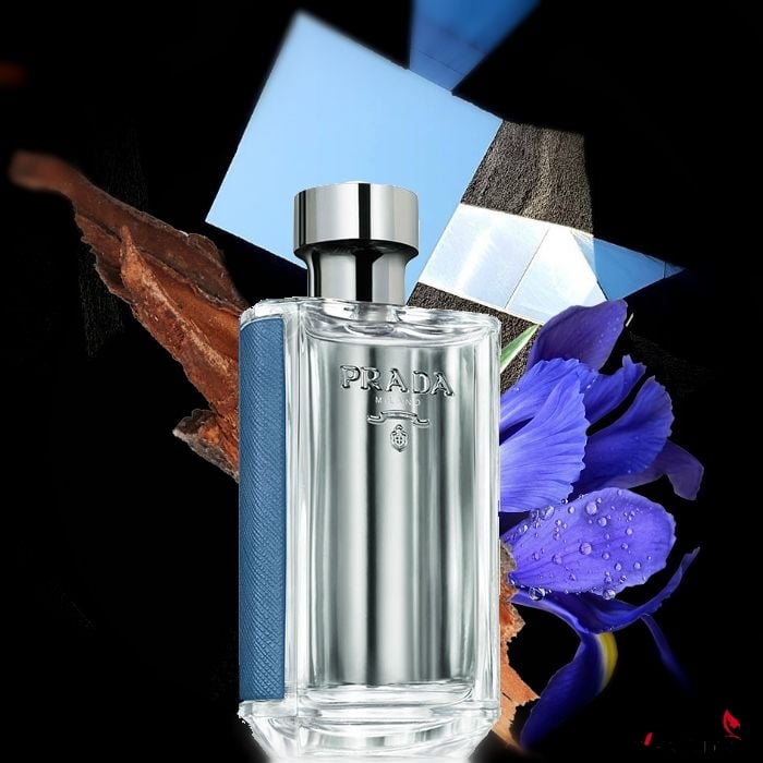 Mùi hương nước hoa Prada L'Homme L'eau