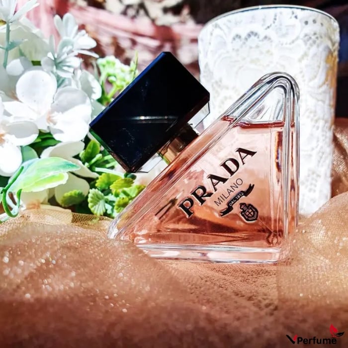 Mùi hương nước hoa Prada Paradoxe