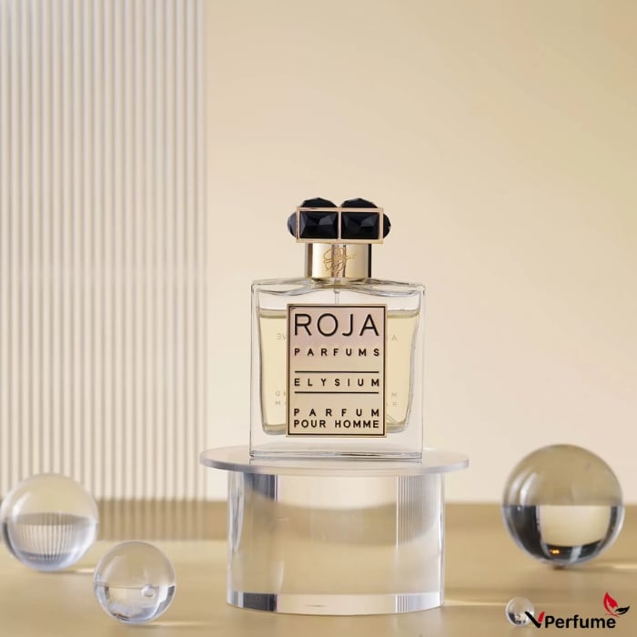 Mùi hương nước hoa Roja Elysium Pour Homme Parfum