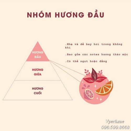 Nốt hương đầu