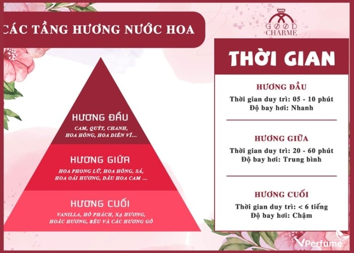 Tầng hương nào quan trọng nhất trong nước hoa?