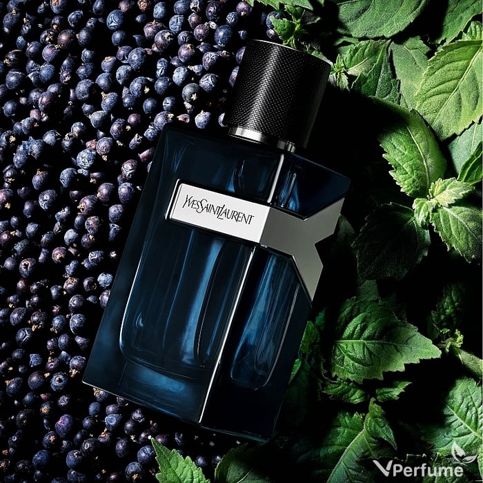 Mùi hương nước hoa Yves Saint Laurent Y EDP Intense