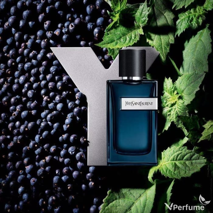 nước hoa Yves Saint Laurent Y EDP Intense